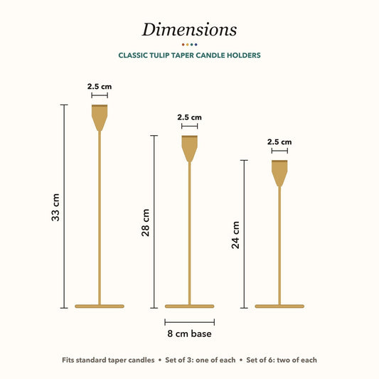 Dimensions: 33 cm, 28 cm and 24 cm tall, 8 cm base, 2.5 cm cup
