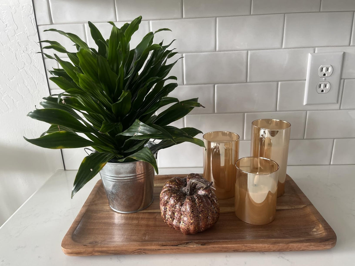 Amber glass candles on a wooden tray with a plant